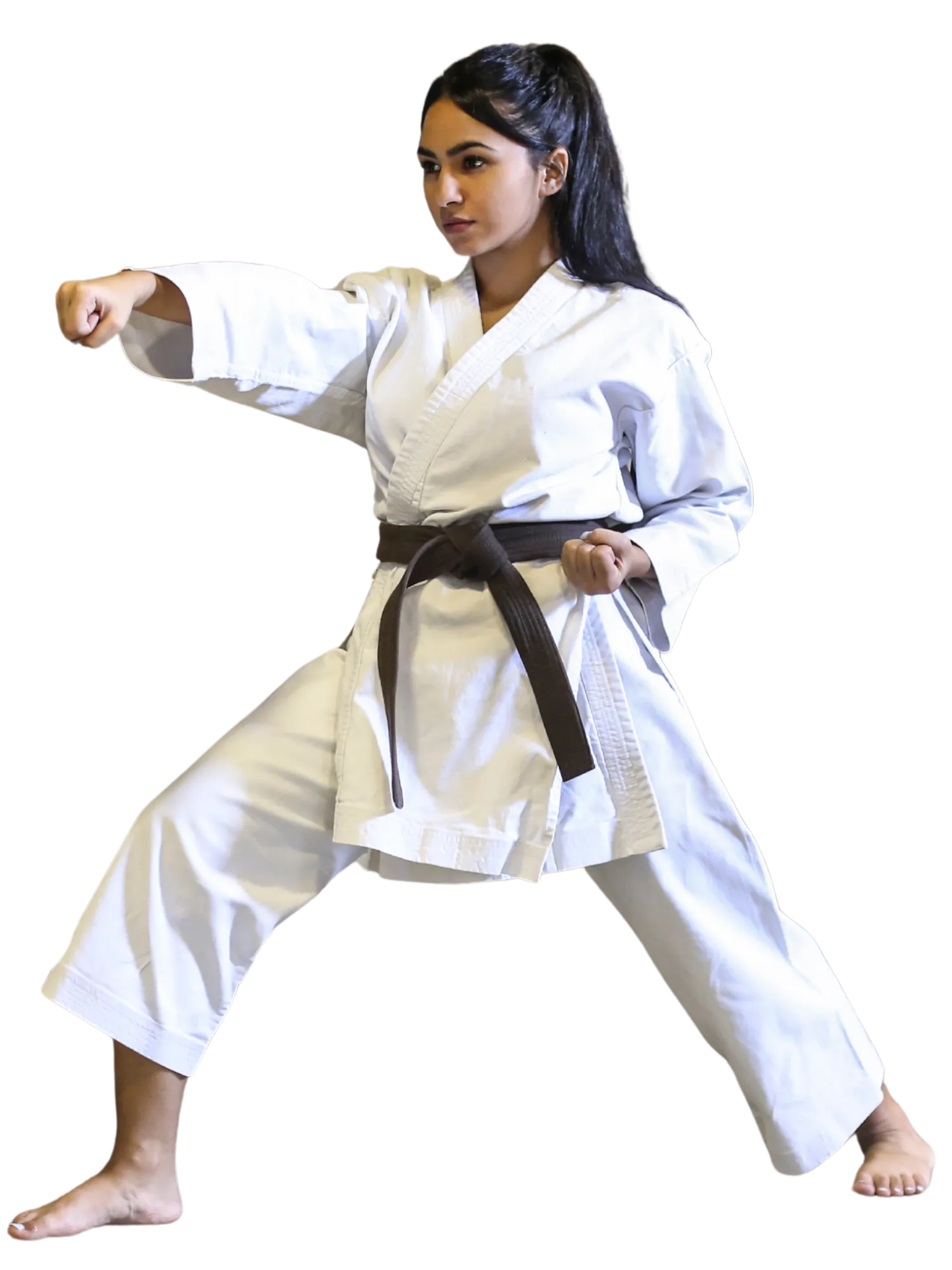Adult Karate (14+) class