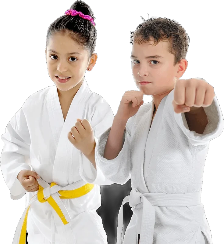 Kids Karate (5-12) class